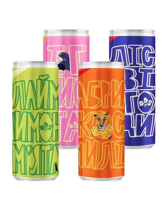 Набір комбучі ODS 4 шт